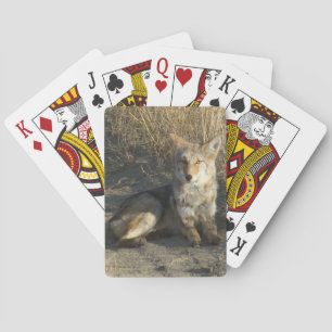 R19 Coyote Liggande Casinokort
