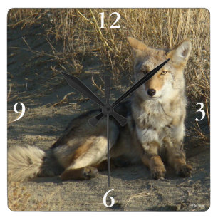 R19 Coyote Liggande Fyrkantig Klocka