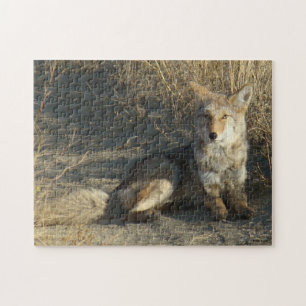 R19 Coyote Liggande Pussel