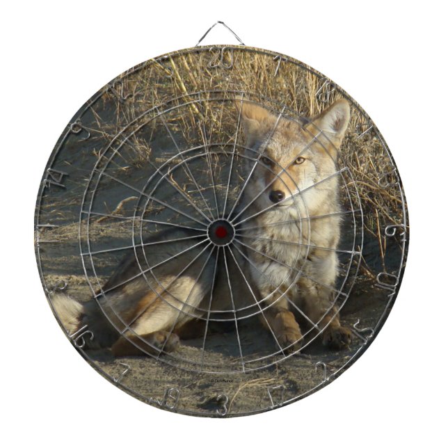 R19 Coyote Ligger Darttavla (Framsidan)