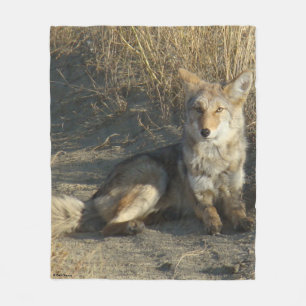 R19 Coyote Ligger Fleecefilt