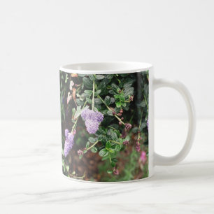 R1-14 KAFFEMUGG