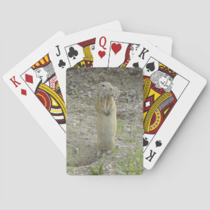 R1 Richardsonssysel Casinokort