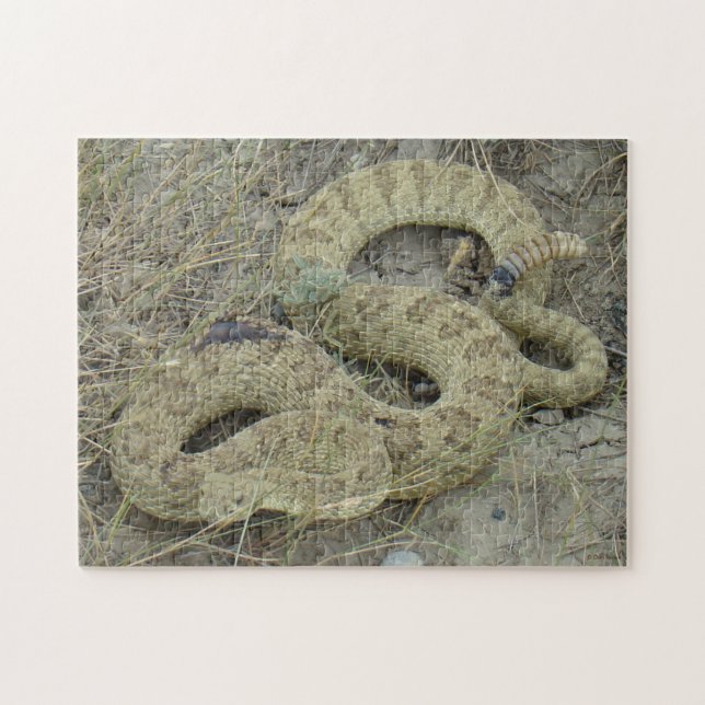 R20 Prairie Rattlesnake Pussel (Horisontell)