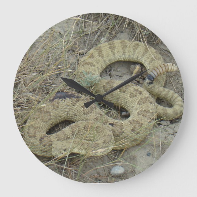 R20 Prairie Rattlesnake Stor Klocka (Framsida)