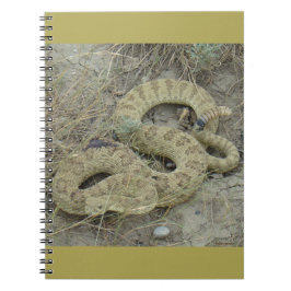 R20 Prairie Rattlesnake Wound Anteckningsbok