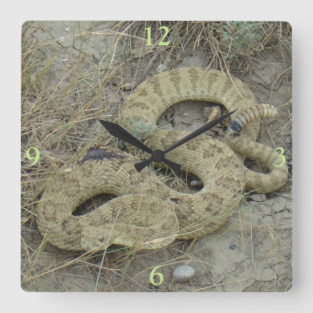 R20 Prairie Rattlesnake Wound Fyrkantig Klocka (Framsida)