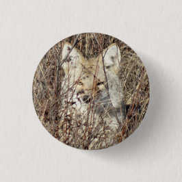 R21 Coyote bevakar dig Knapp