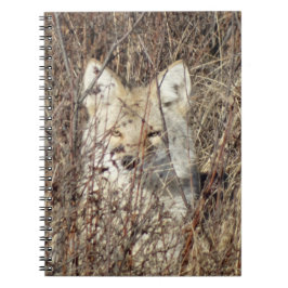 R21 Coyote "Tittar på dig" Anteckningsbok