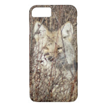 R21 Coyote "Watching You"