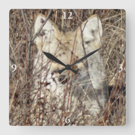 R21 Coyote "Watching You" Fyrkantig Klocka