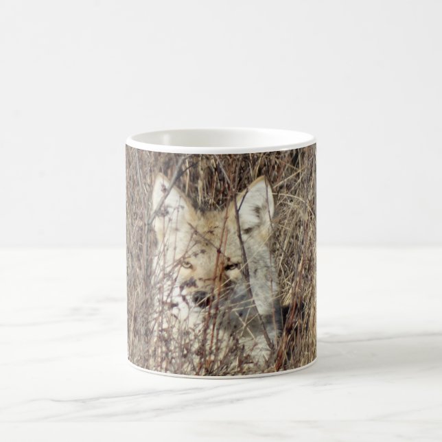 R21 Coyote "Watching You" Kaffemugg (Center)