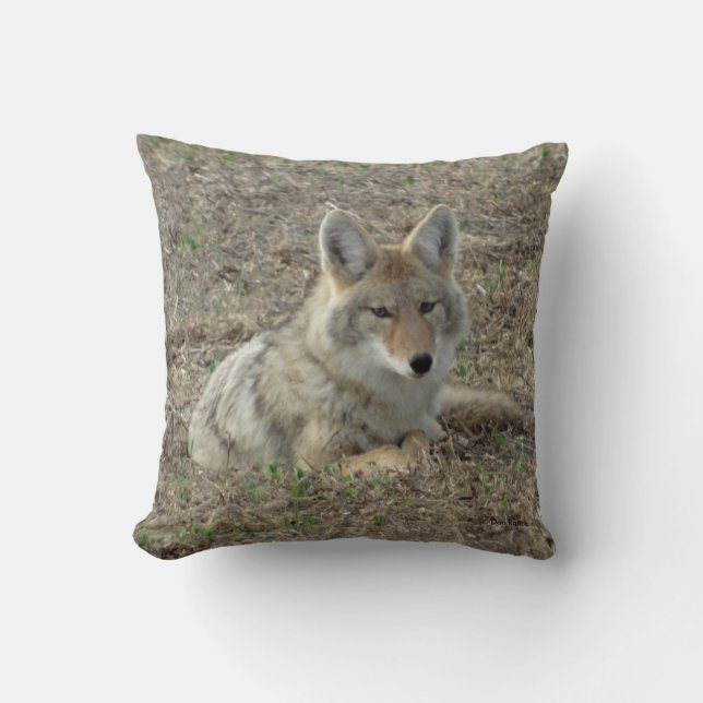 R22 Coyote Lay Kudde (Framsida)