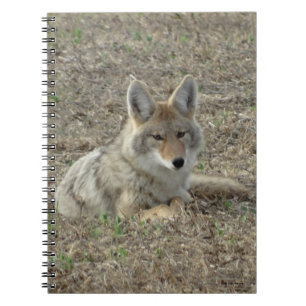 R22 Coyote Liggande Anteckningsbok