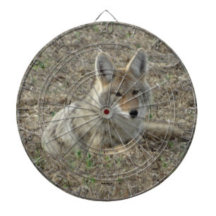 R22 Coyote Liggande Darttavla