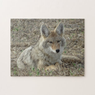 R22 Coyote Liggande Pussel