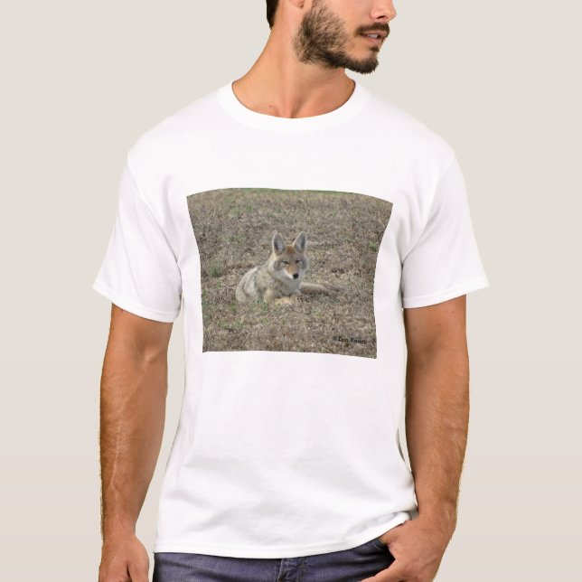 R22 Coyote Liggande Tee (Framsida)