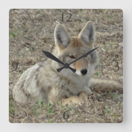 R22 Coyote Loutning Fyrkantig Klocka