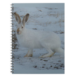 R23 Snowshoe Hare Anteckningsbok