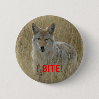 R2 Coyote i högt gräs Knapp