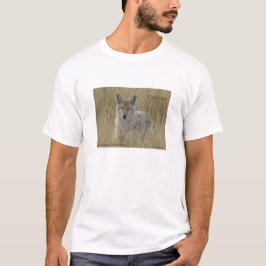R2 Coyote i högt gräs T-shirt
