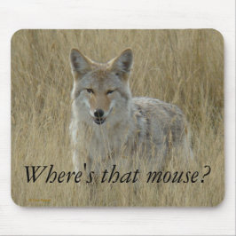 R2 Coyote i totalgräs Musmatta