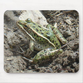 R3 Leopardgrodan Musmatta