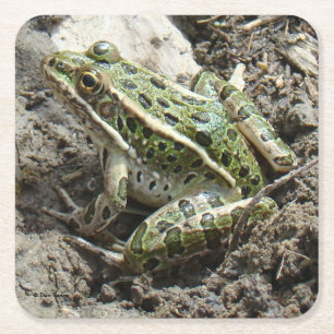 R3 Leopardgrodan Underlägg Papper Kvadrat