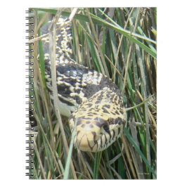 R4 Bull Snake Anteckningsbok