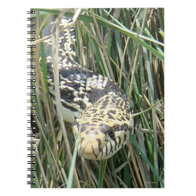 R4 Bull Snake Anteckningsbok (Framsidan)