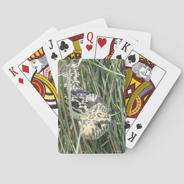 R4 Bullorm i gräset Casinokort (Baksidan)