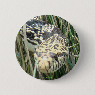 R4 Bullsnake Knapp