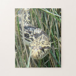 R4 Bullsnake Pussel