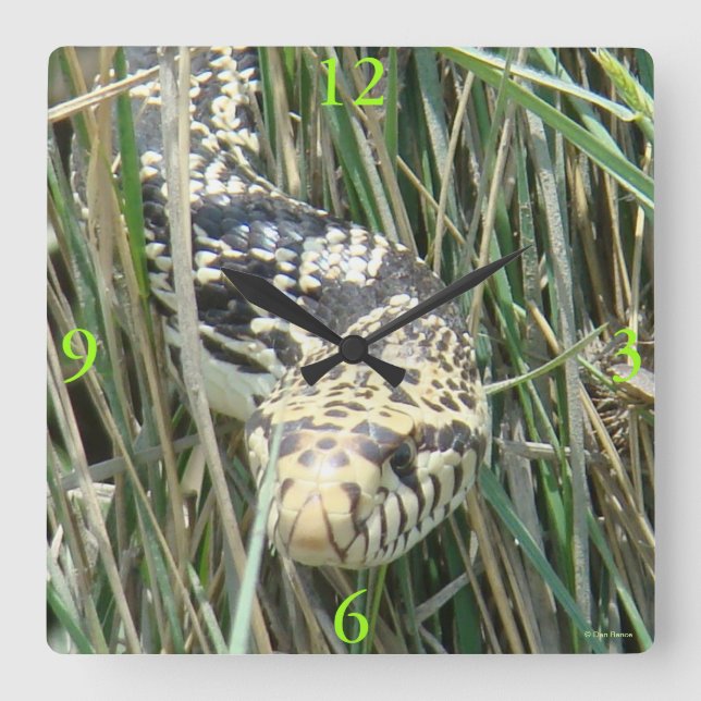 R4 Snake Fyrkantig Klocka (Framsida)