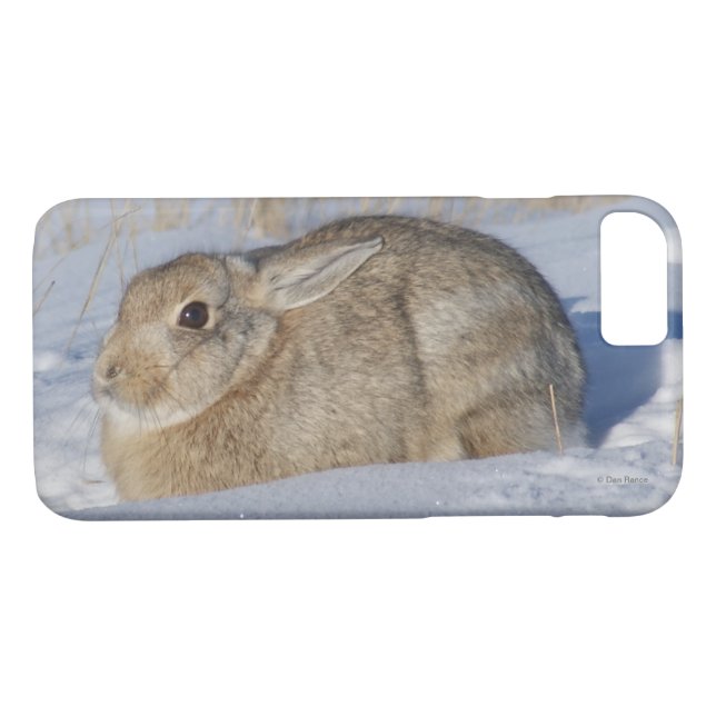 R5 Cottontail Rabbit i Snö Case-Mate iPhone Skal (Baksida (horisontal))