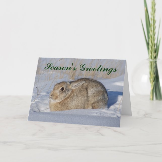 R5 Cottontail Rabbit i snö Helgkort (Framsida)