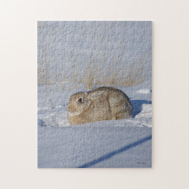 R5 Cottontail Rabbit i Snö Pussel (Vertikal)