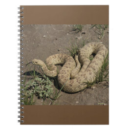 R6 Prairie Rattlesnake Anteckningsbok