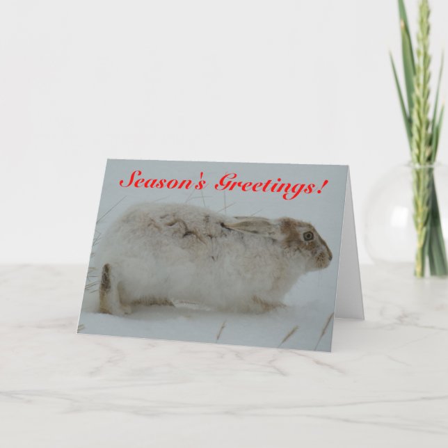 R7 Snöskohare Helgkort (Framsida)
