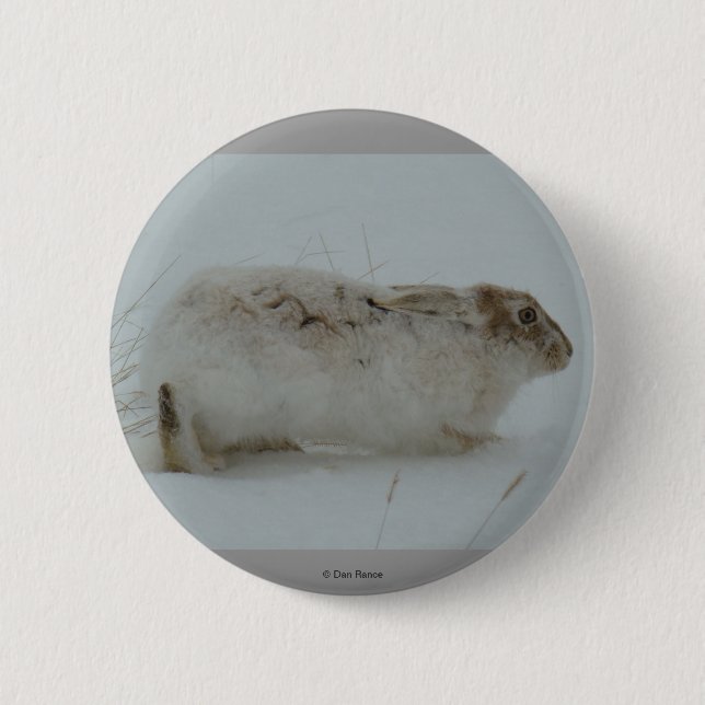 R7 Snöskohare redo att springa Knapp (Framsida)