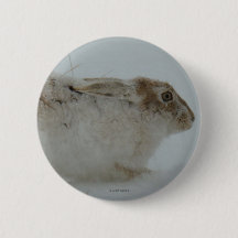 R7 Snowshoe Hare-Redot till Springa