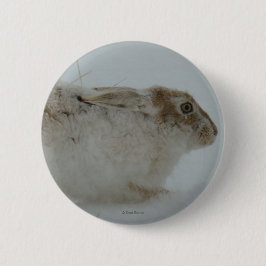 R7 Snowshoe Hare-Redot till Springa Knapp