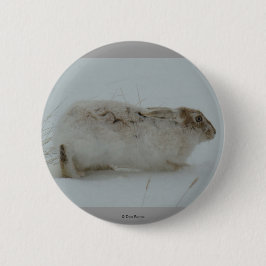 R7 Snowshoe Hare-Redot till Springa Knapp