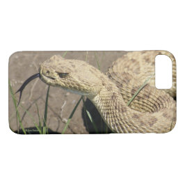 R8 Prairie Rattlesnake Head Shot