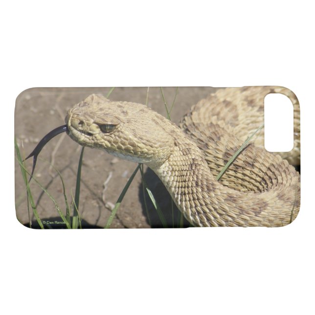 R8 Prairie Rattlesnake Head Shot Case-Mate iPhone Skal (Baksida (horisontal))