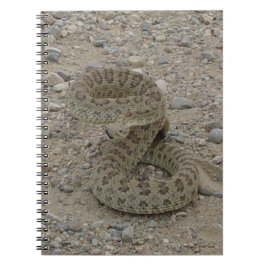 R9 Prairie Rattlesnake Coiled Anteckningsbok