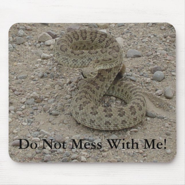 R9 Prairie Rattlesnake Coiled Musmatta (Framsidan)