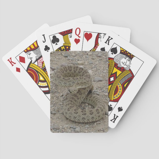 R9 Prärieklapperslange hopringlad Casinokort (Baksidan)