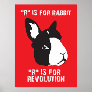 R är för poster