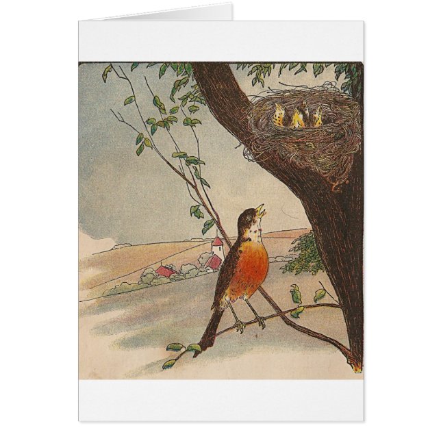 R är för Robin Hälsningskort (Framsidan)